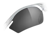 Replacement Lenses Smoke