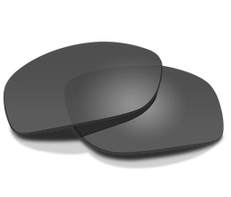 Replacement Lens Smoke 